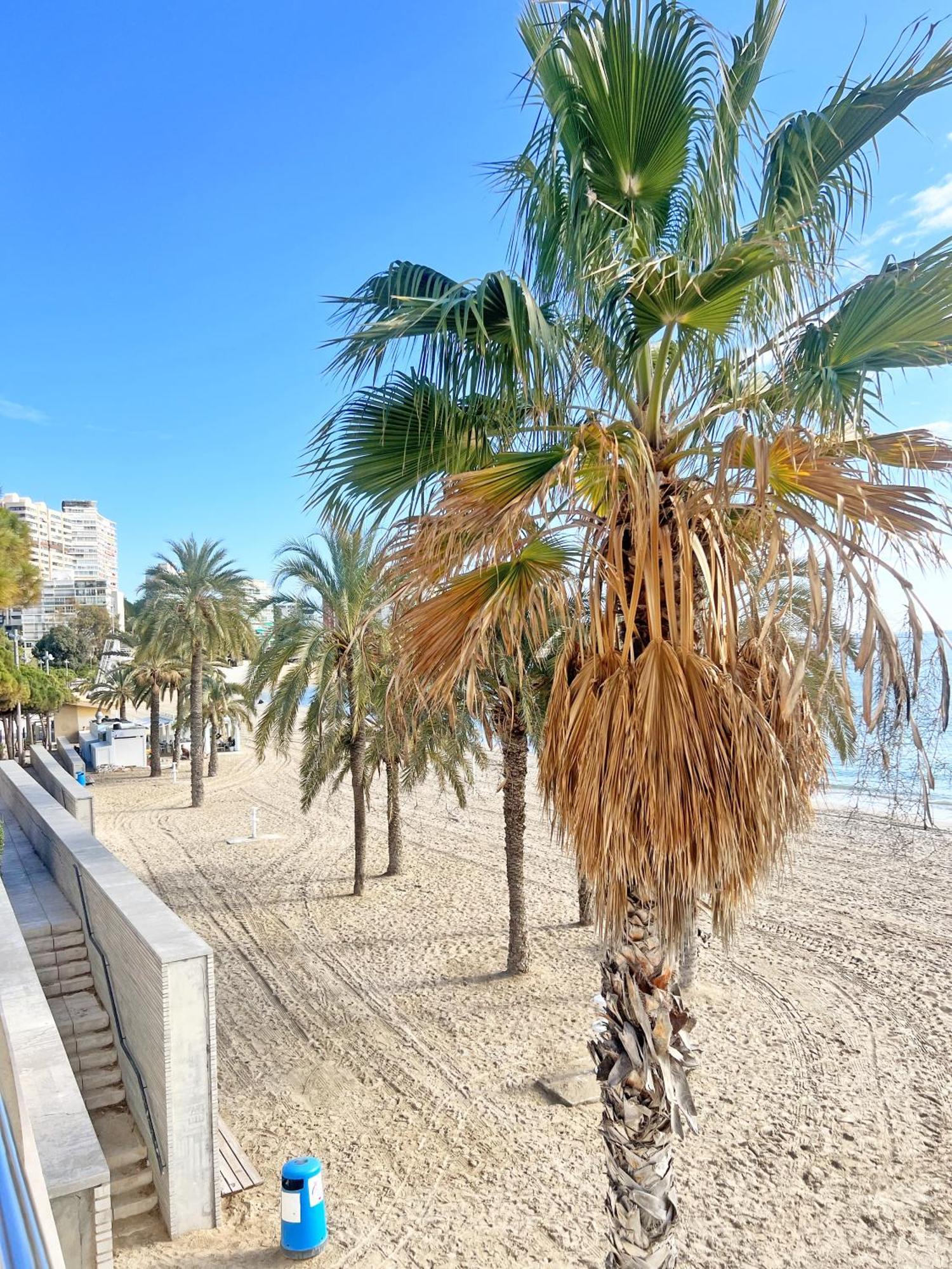 Apartmán A 100M De La Playa. 2 Hab. A/C Alicante Exteriér fotografie
